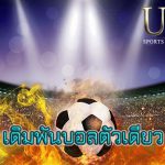 เดิมพันบอลตัวเดียว